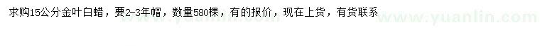 求購15公分金葉白蠟