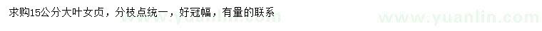 求購(gòu)15公分大葉女貞