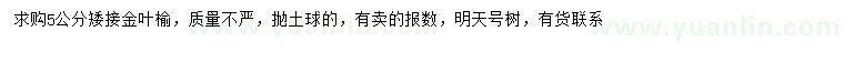 求購5公分金葉榆