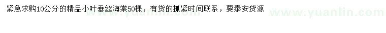 求購10公分垂絲海棠