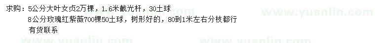 求購5公分大葉女貞、8公分玫瑰紅紫薇