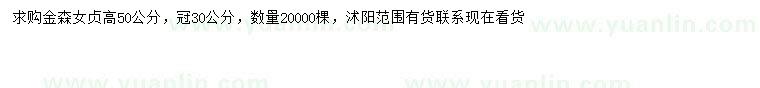 求購高50公分金森女貞