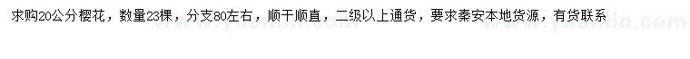 求購20公分櫻花