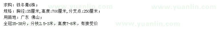 求購胸徑35公分鐵冬青