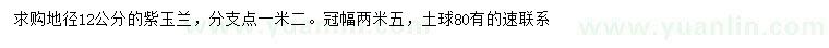 求購地徑12公分紫玉蘭