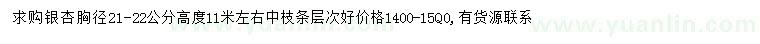 求購胸徑21-22公分銀杏