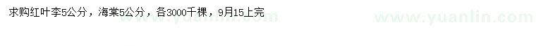 求購(gòu)5公分紅葉李、海棠