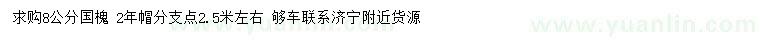 求購8公分國槐