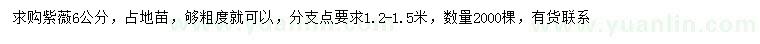 求購(gòu)6公分紫薇