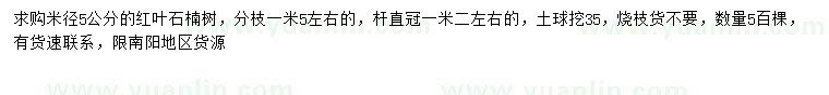 求購米徑5公分紅葉石楠
