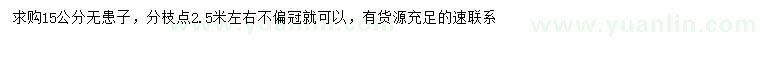 求購15公分無(wú)患子