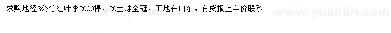 求購地徑3公分紅葉李