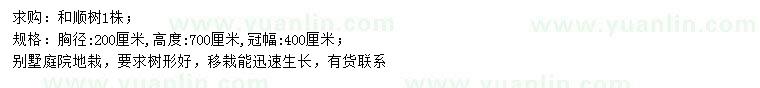 求購胸徑200公分和順樹