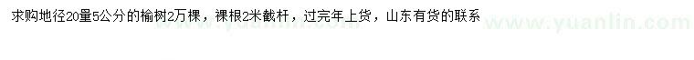 求購20量5公分榆樹