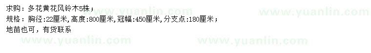 求購胸徑22公分多花黃花風鈴木