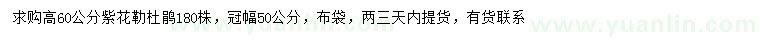 求購高60公分紫花勒杜鵑