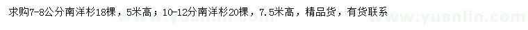 求購(gòu)7-8、10-11公分南洋杉