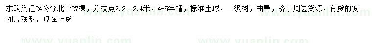 求購胸徑24公分北欒