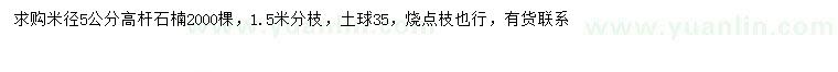 求購(gòu)米徑5公分高桿石楠