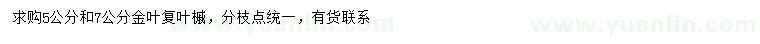 求購5、7公分金葉復(fù)葉槭