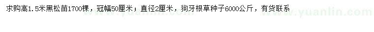 求購高1.5米黑松、狗牙根草種子