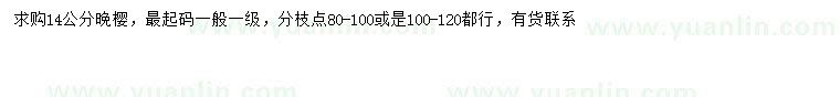 求購14公分晚櫻