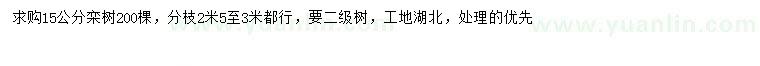 求購15公分欒樹