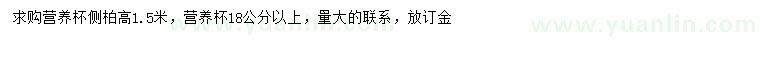 求購(gòu)高1.5米側(cè)柏