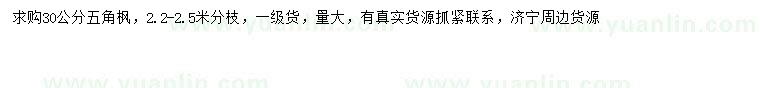 求購30公分五角楓
