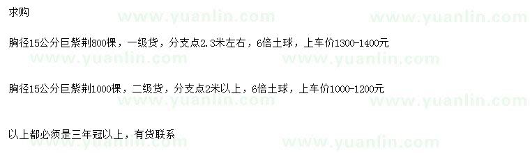 求購胸徑15公分巨紫荊