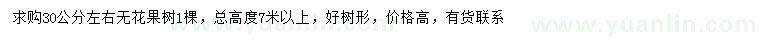 求購30公分左右無(wú)花果樹(shù)
