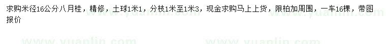 求購(gòu)米徑16公分八月桂