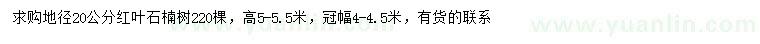 求購地徑20公分紅葉石楠