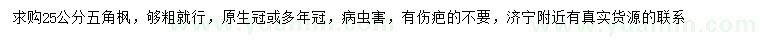 求購(gòu)25公分五角楓