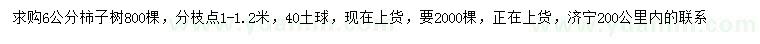 求購(gòu)6公分柿子樹(shù)