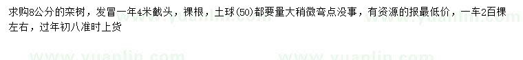 求購8公分欒樹