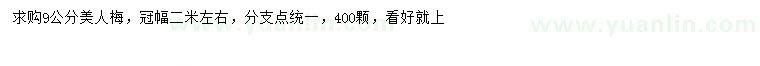 求購9公分美人梅