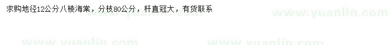 求購地徑12公分八棱海棠
