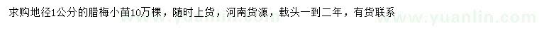 求購地徑1公分臘梅小苗