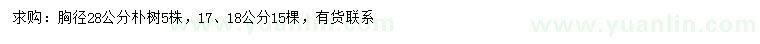求購(gòu)胸徑17、18、28公分樸樹(shù)