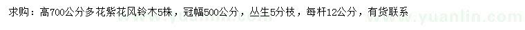 求購高700公分多花紫花風(fēng)鈴木