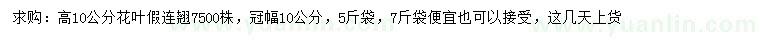 求購高10公分花葉假連翹