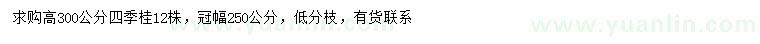 求購(gòu)高300公分四季桂