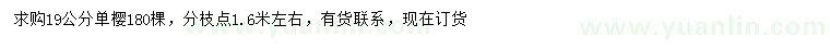 求購19公分單櫻