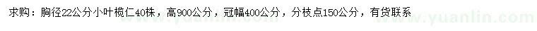 求購胸徑22公分小葉欖仁