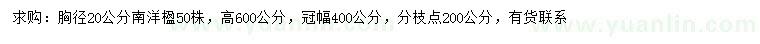 求購胸徑20公分南洋楹