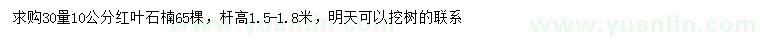 求購(gòu)30量10公分紅葉石楠