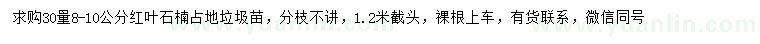 求購30量8-10公分紅葉石楠