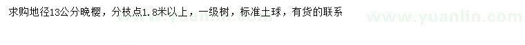 求購地徑13公分晚櫻