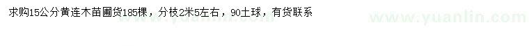 求購(gòu)15公分黃連木